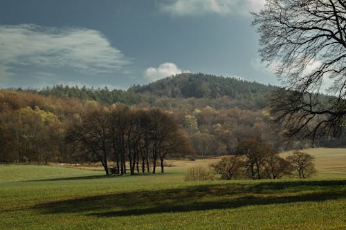 Бесплатное стоковое фото с гора, деревья, живописный