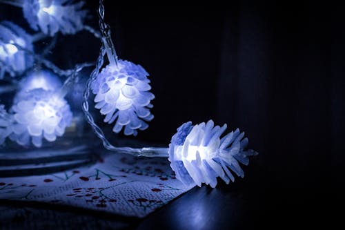 Free Shallow Focus Photography of White String Lights Stock Photo
