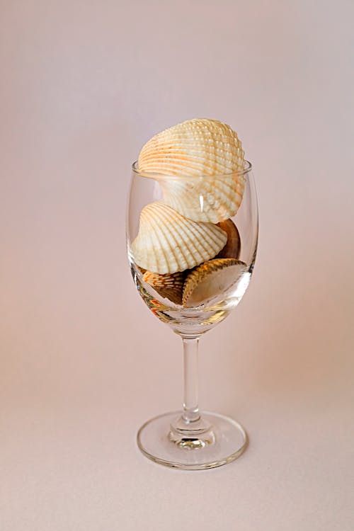 Free Seashells in the Wineglass  Stock Photo