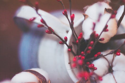 质朴的杯子里，艺术特写的白色棉花芽和红色浆果，突出了纹理与色彩