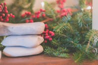 节日装饰特写，以常绿树枝和红色浆果为特色