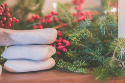 节日装饰特写，以常绿树枝和红色浆果为特色