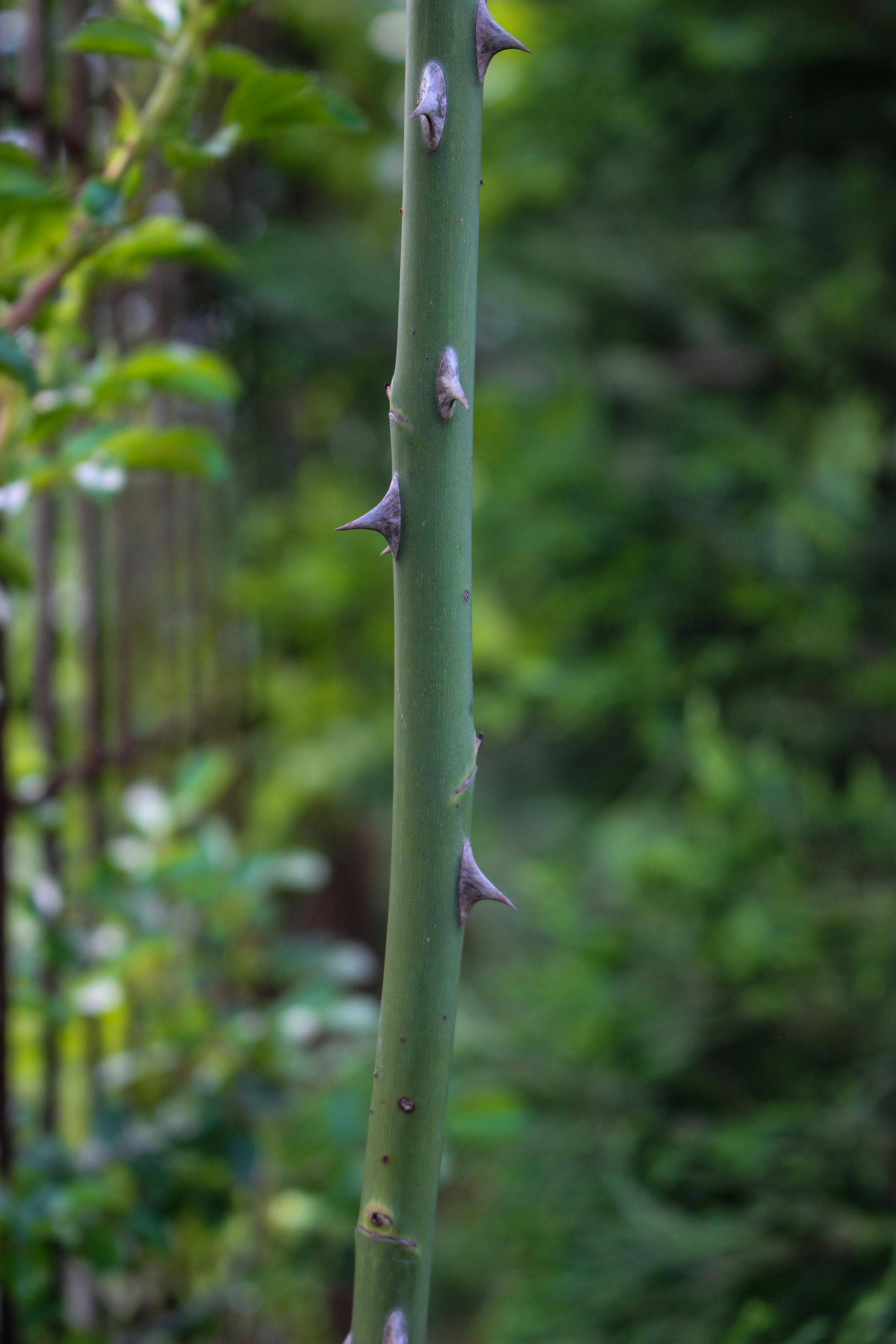 1. Embracing the Power of a Fresh Start: Thursday's Invigorating Energy