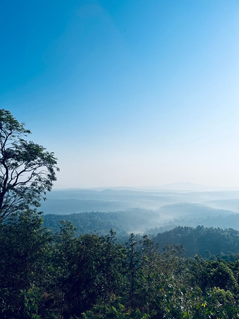 Coorg coffee plantation hills