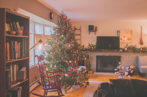 Green Christmas Tree Beside Window Inside Room