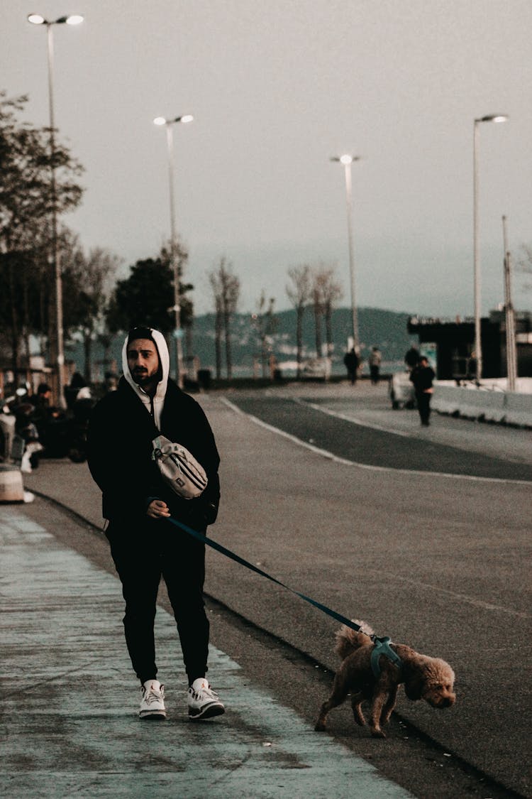 Man Walking Dog In City