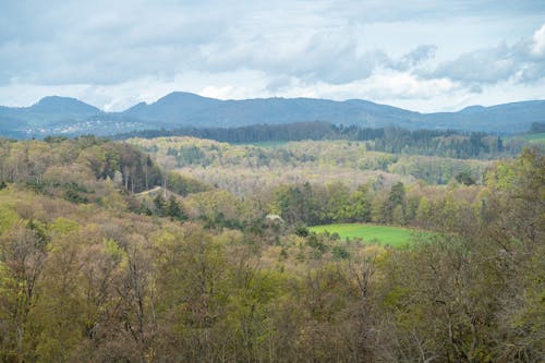 Aerial View of a Countryside Landscape 