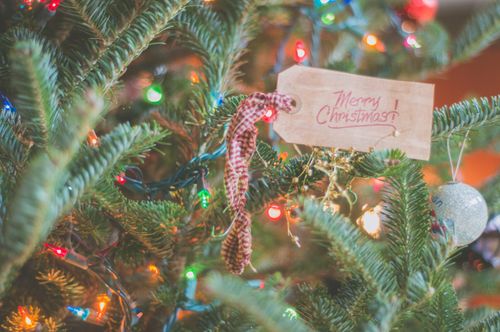 Free Close-up of a decorated Christmas tree with a 'Merry Christmas' tag and colorful lights. Stock Photo