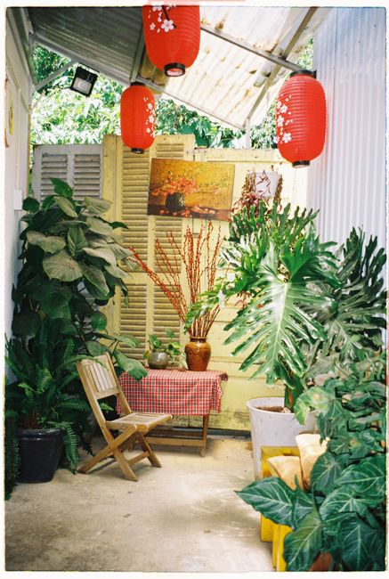 Bright outdoor patio with red lanterns, green plants, and rustic decor, perfect for relaxation.
