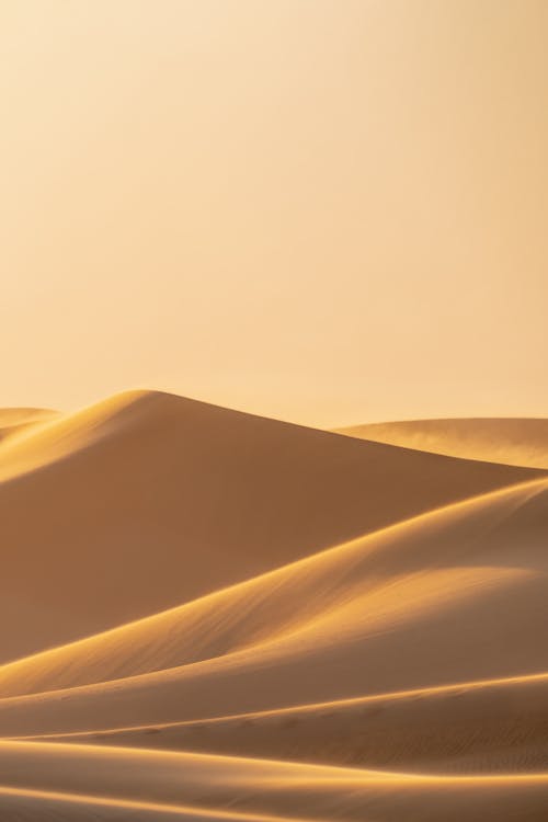 Sand Dunes in the Desert 