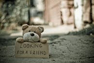 一只毛绒泰迪熊举着“寻找伴侣”的牌子，传递出孤独与陪伴的主题