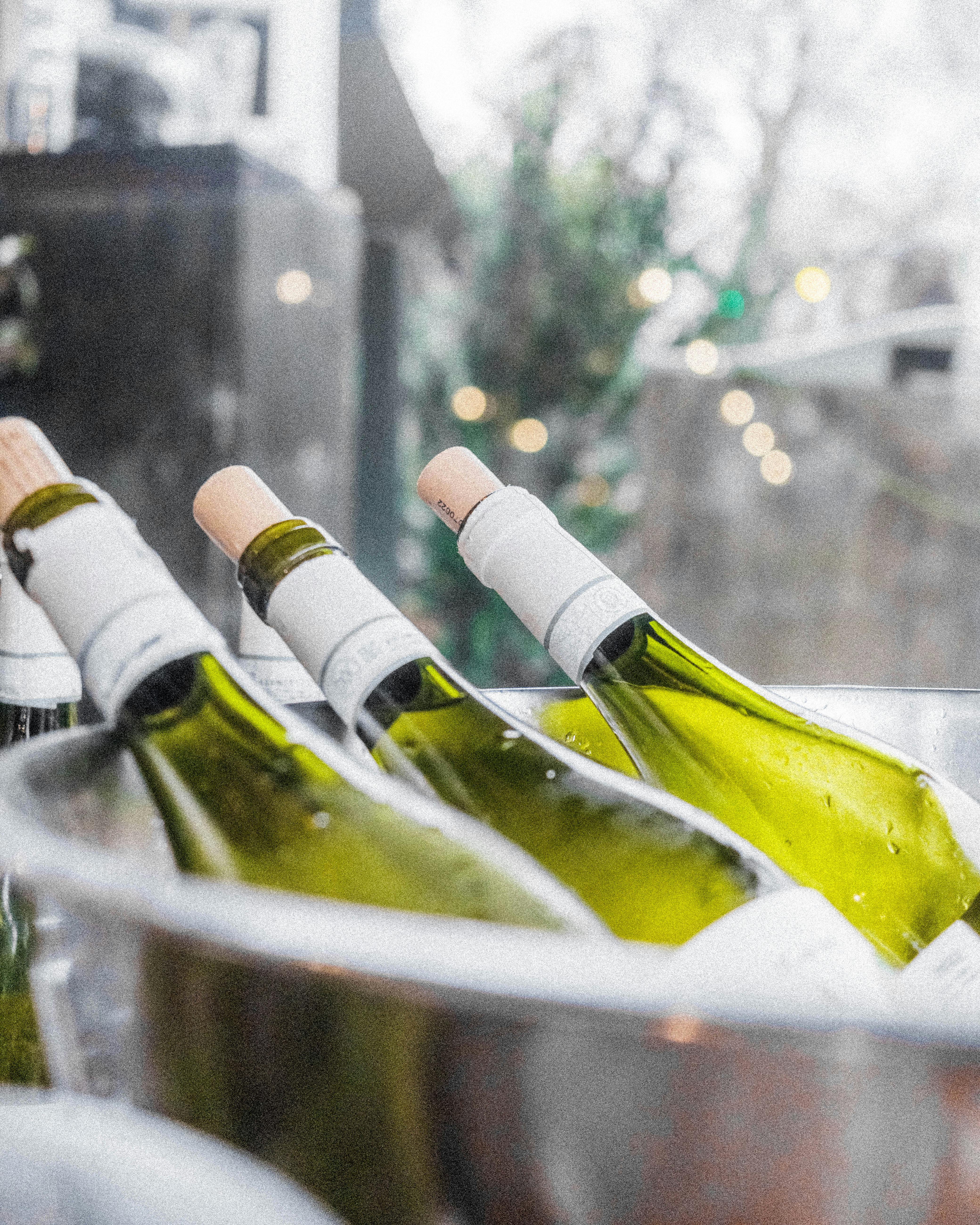 Bottles of White Wine Cooling Outdoors · Free Stock Photo