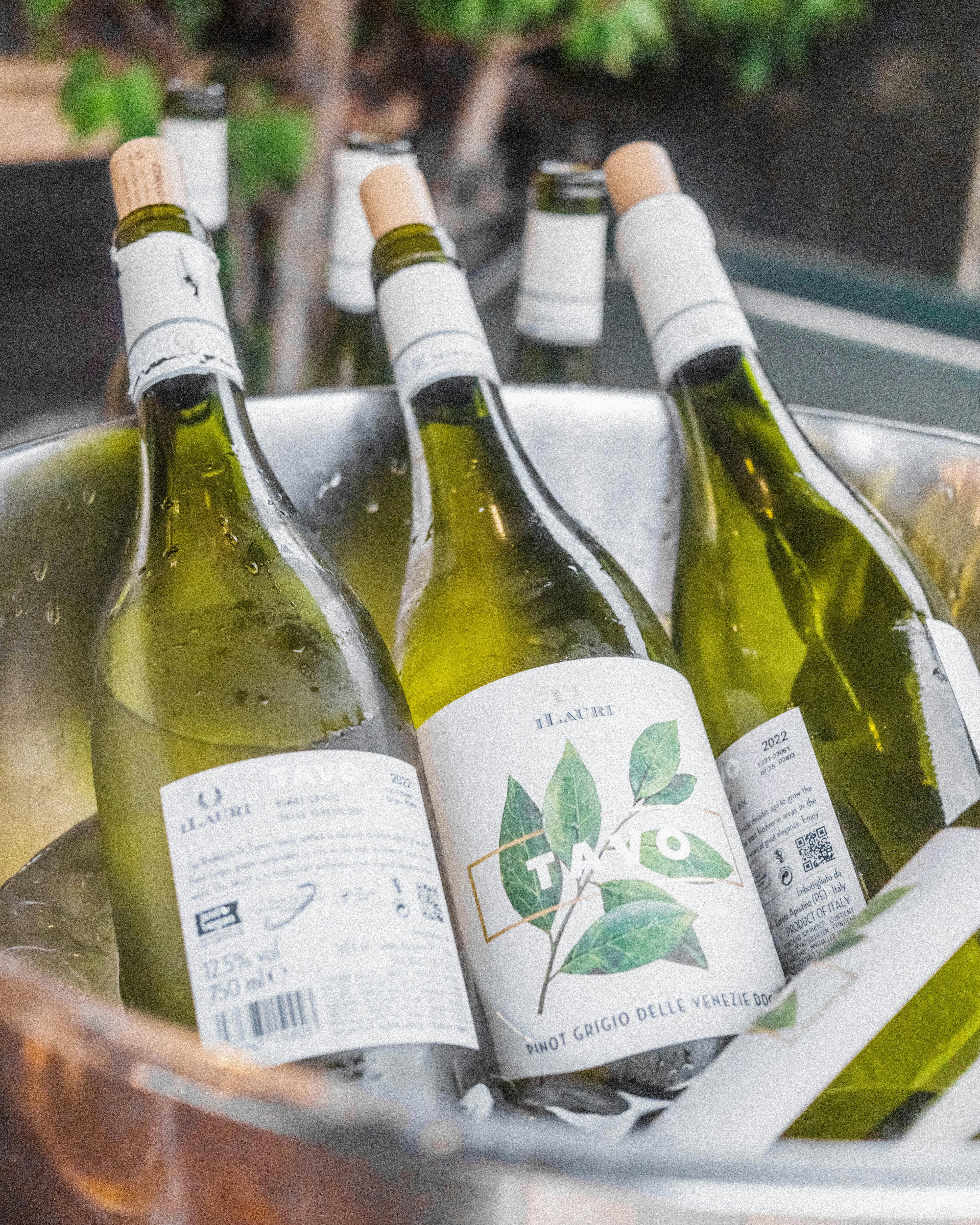 bottles of white wine cooling in a bowl