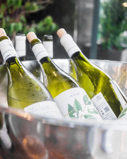 Free Close-up of white wine bottles in an ice bucket, perfect for summer outdoor gatherings. Stock Photo
