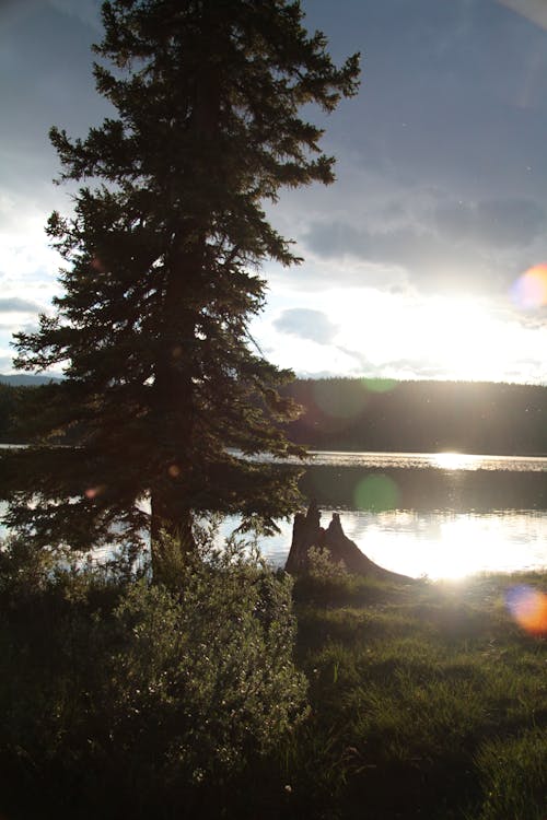 Základová fotografie zdarma na téma Alberta, kanada, západ slunce