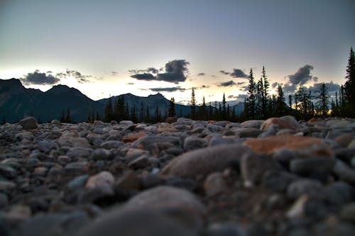 Základová fotografie zdarma na téma Alberta, hory, kanada