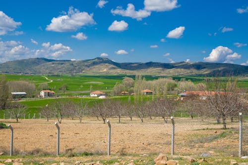 Δωρεάν στοκ φωτογραφιών με αγροτικός, δενδρόκηπος, δέντρα