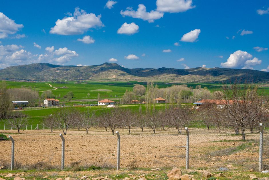 Vista escénica de un paisaje rural que presenta un huerto, una aldea y colinas onduladas bajo un cielo azul claro.