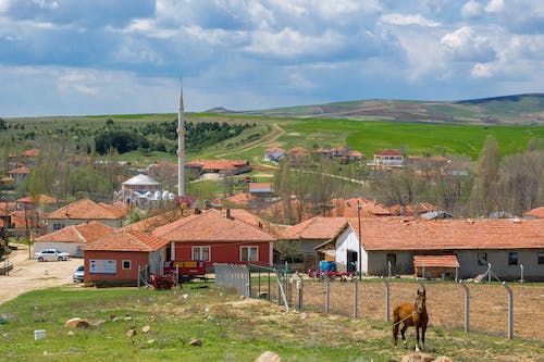 Rural Landscape with a Horse on the Pasture and a Mosque