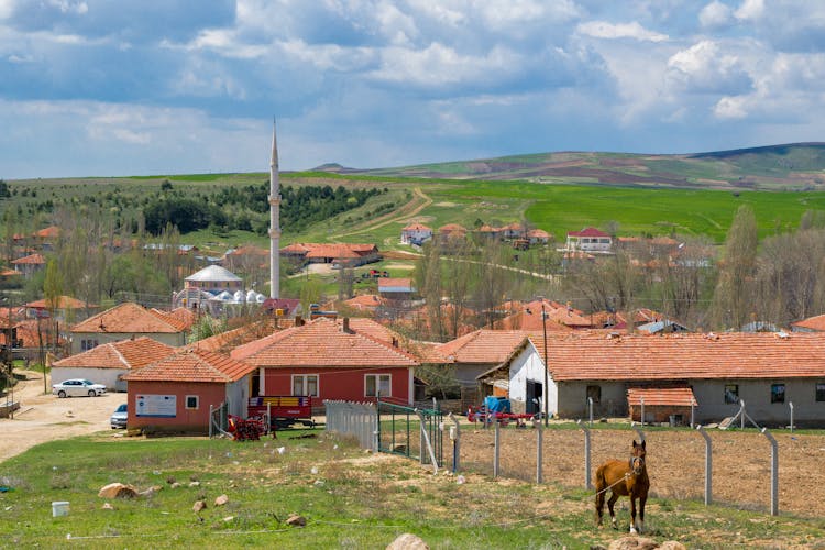 Rural Landscape With A Horse On The Pasture And A Mosque