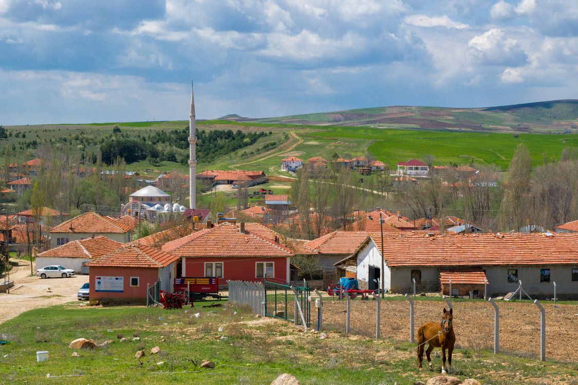 Small Rural Mousque Rural Landscape with a Horse on the Pasture and a Mosque · Free Stock Photo