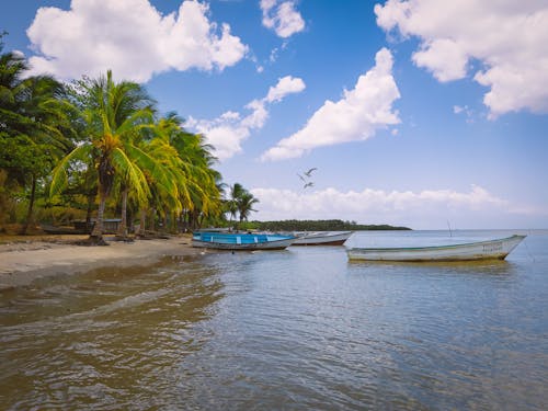 Photo of a Tropical Seashore with Boats