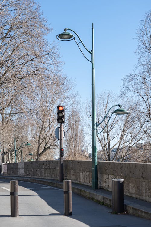 Street Lamp and Traffic Light by Street