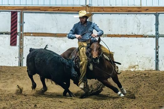 A Toreador Fighting with a Bull