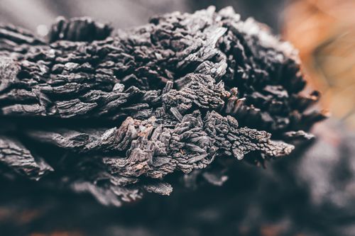 Free Detailed macro shot of charred wood showcasing unique textures and patterns. Stock Photo