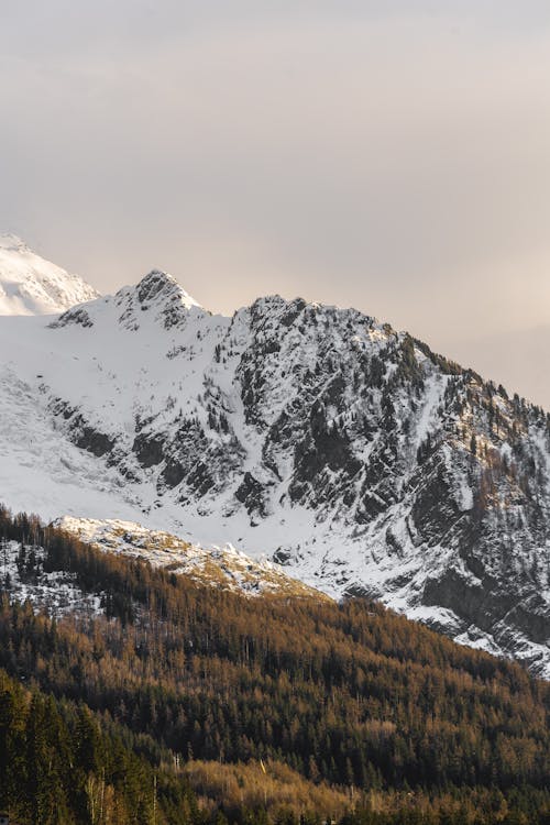Gratis stockfoto met berg, bergketen, Bos