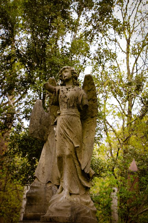 Free Historic stone angel sculpture surrounded by trees in a London park. Stock Photo
