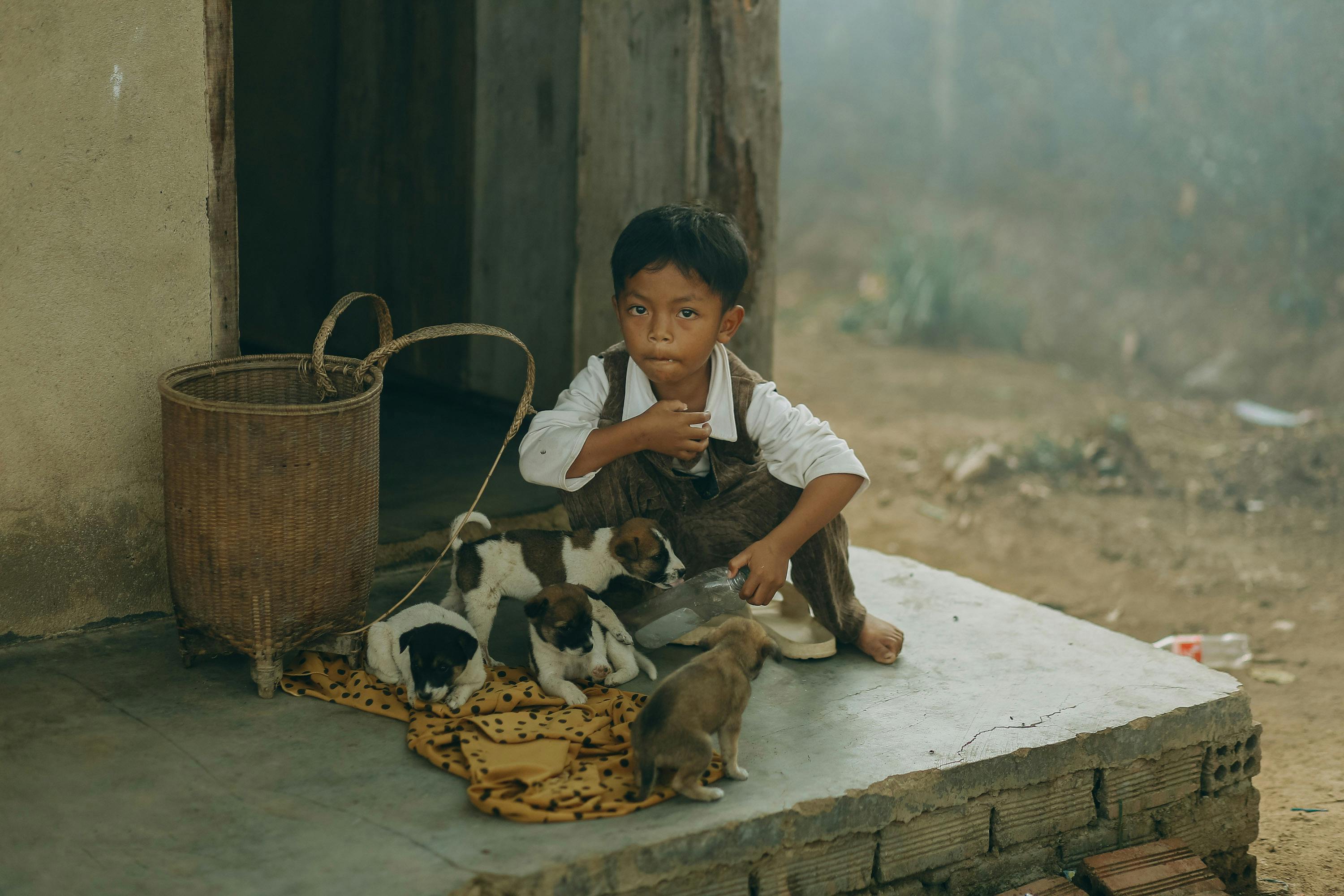 Boy with Puppies at Porch