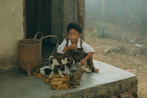 Boy with Puppies at Porch