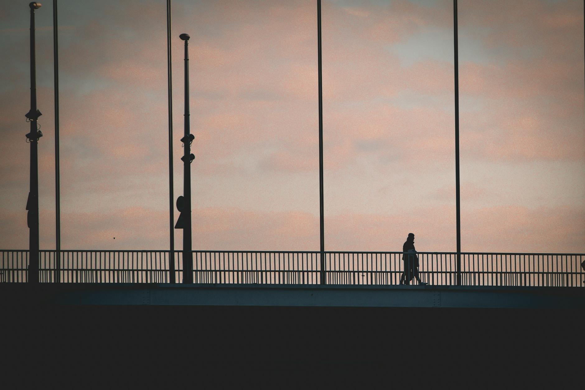 The Silhouette