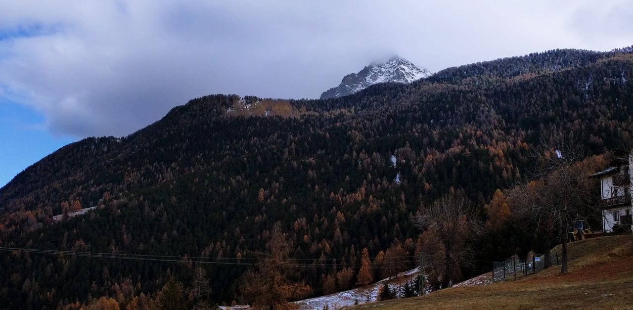 Pila
