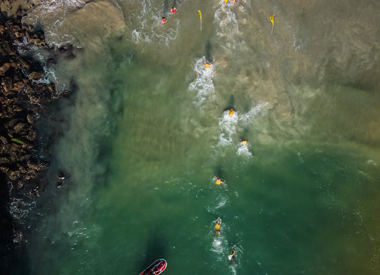 Aerial View Of People Swimming In The Sea 