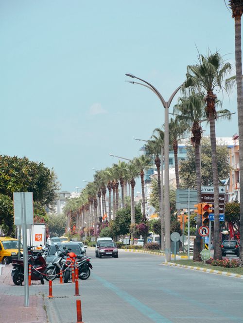 Free Vibrant city street in Türkiye with palm trees and traffic under summer sunlight. Stock Photo