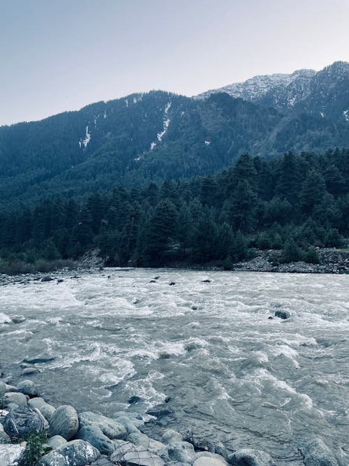 Kostenloses Stock Foto zu berge, fluss, kieselsteine