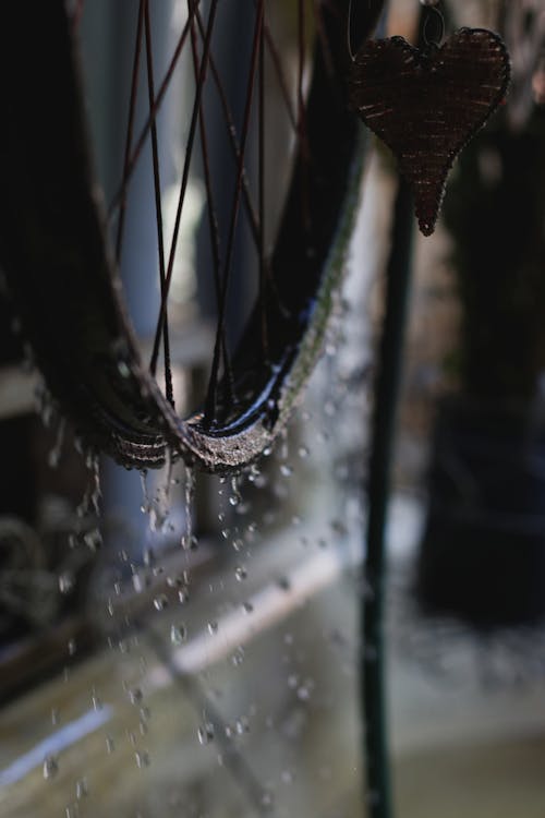 Free stock photo of heart, water, water wheel