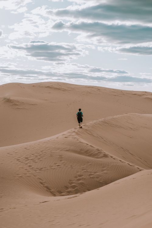 Free A lone figure traverses the vast desert dunes under cloudy skies in Mendoza, Argentina. Stock Photo