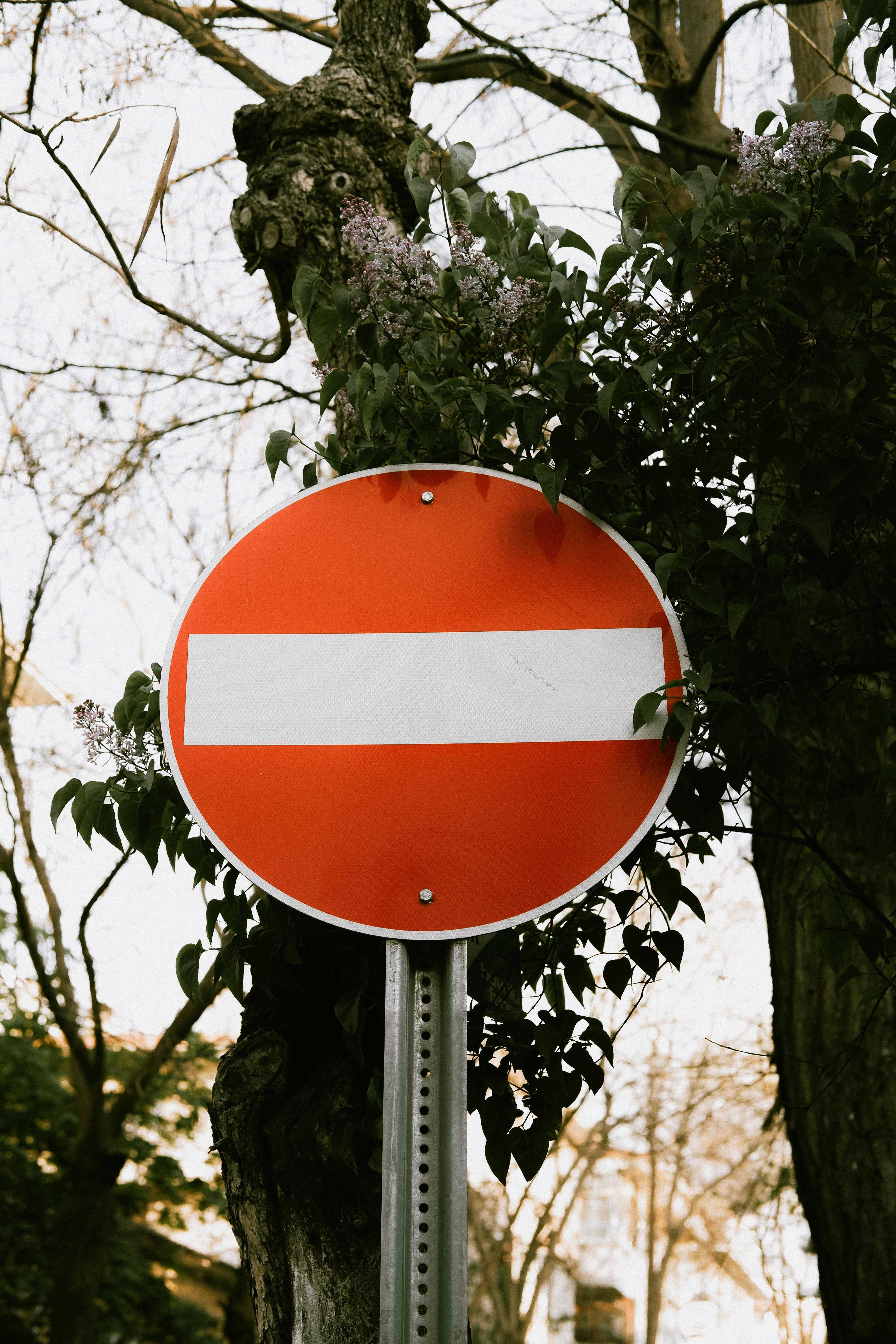 Red no entry sign surrounded by trees in a city street with a peaceful ambiance.