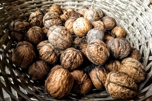 Free stock photo of harvest, nuts, stash