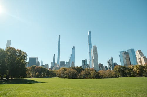 Foto gratuita de un gran campo verde con altos edificios en el fondo