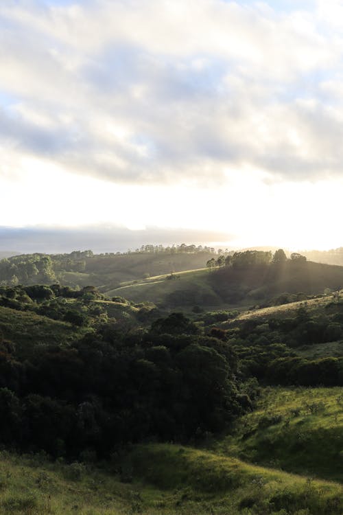 Immagine gratuita di acqua, alba, alba precoce