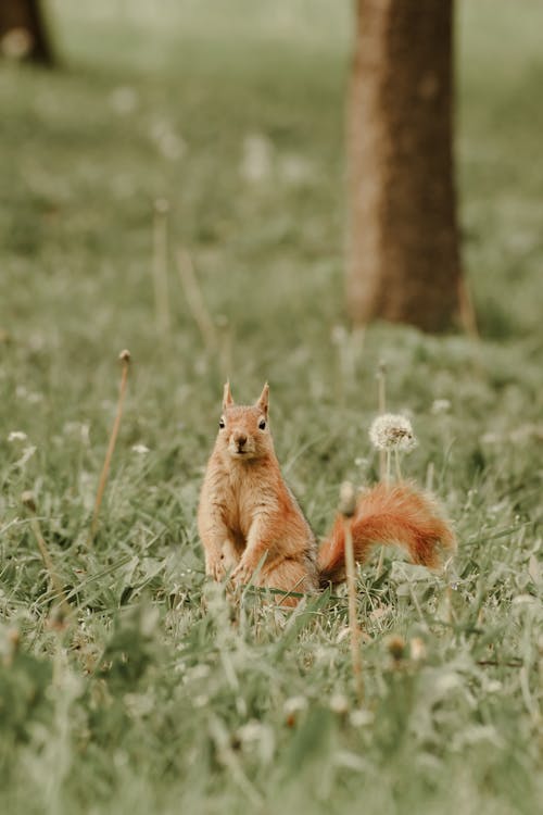 Fotobanka s bezplatnými fotkami na tému dno, príroda, tapeta do mobilu