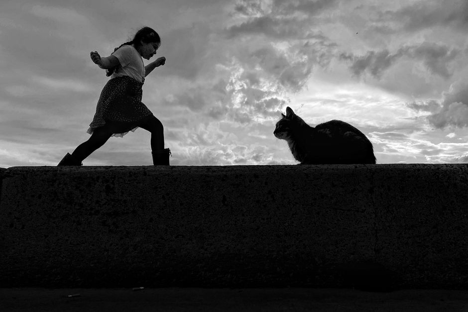 Dynamic black and white silhouette of a girl running towards a cat on a wall with dramatic clouds.