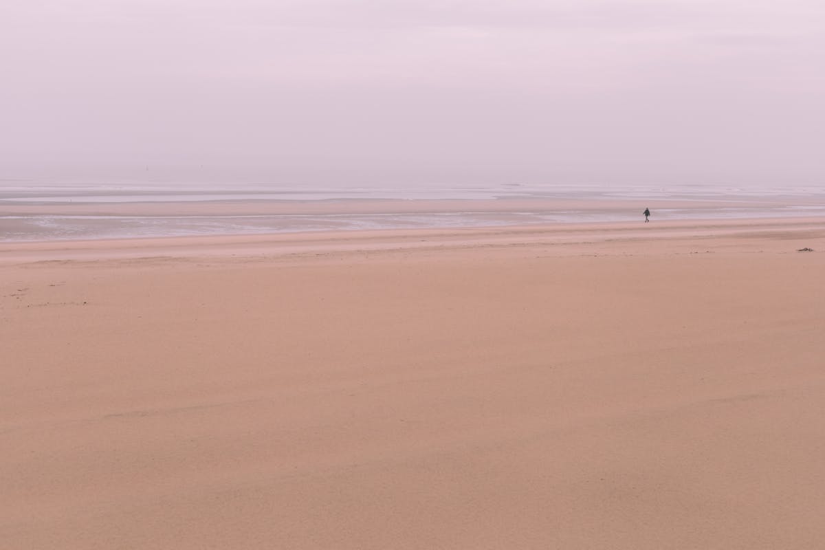 Why Put Dawn in Your Toilet? Answer]