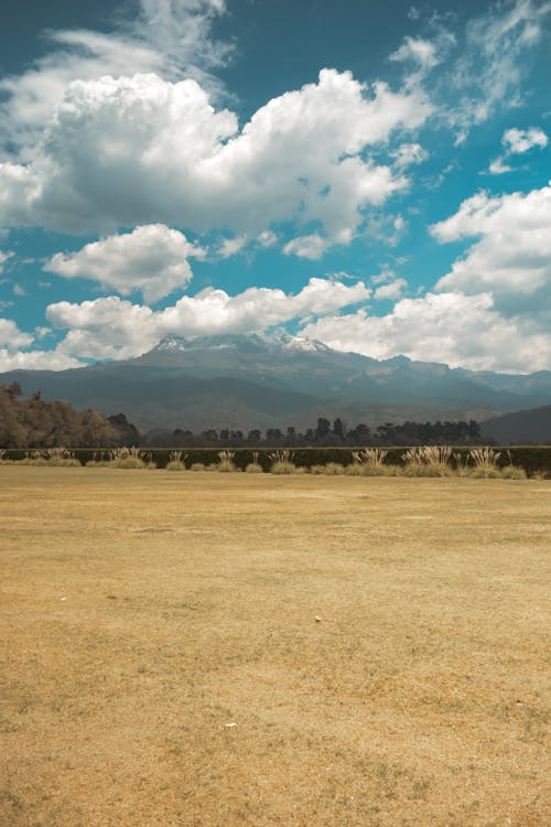 Grassland on Plains