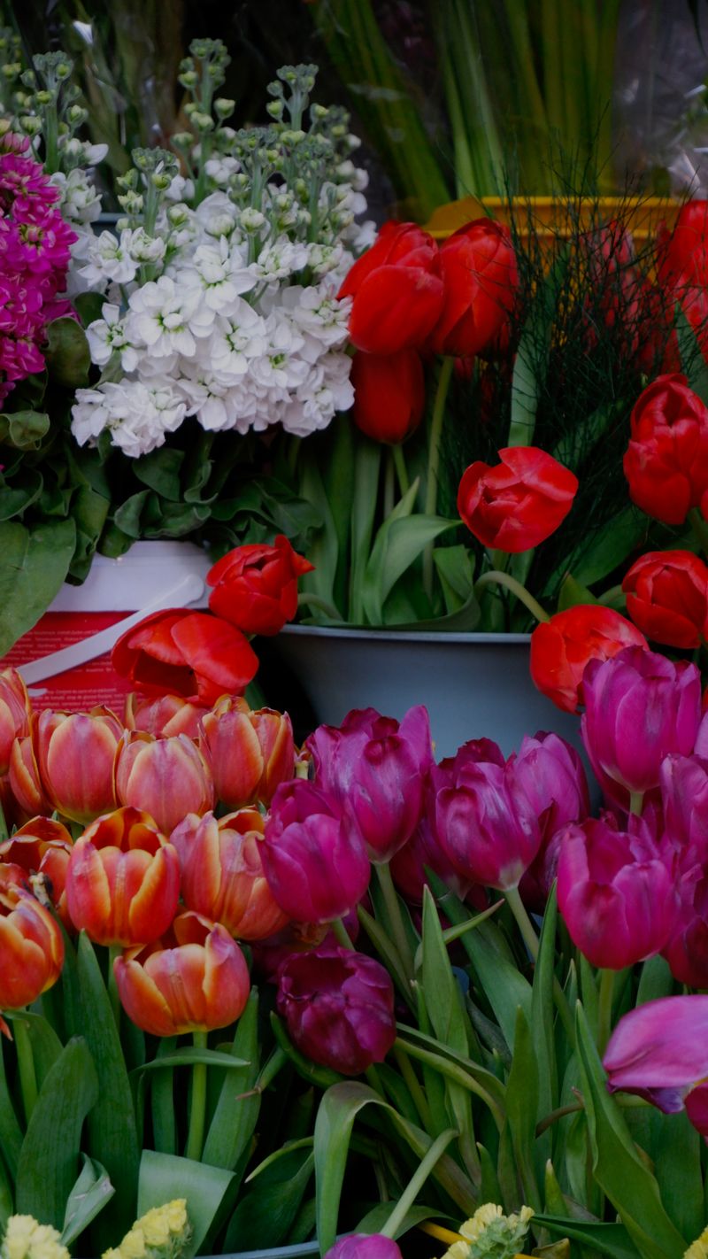 Frühlingsblumen mit Tulpen und Rosen