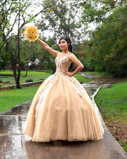 What Color Flowers Go With A Gold Prom Dress Photos, Download The BEST Free What Color Flowers Go With A Gold Prom Dress Stock Photos & HD Images What Color Flowers Go With A Gold Prom Dress Photos, Download The BEST Free What Color Flowers Go With A Gold Prom Dress Stock Photos & HD Images